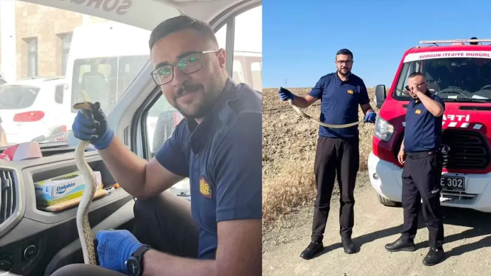Sorgun Kaymakamlık Bahçesinde Yılan Panik Yaratan Anlar görseli