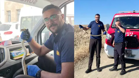 Sorgun Kaymakamlık Bahçesinde Yılan Panik Yaratan Anlar