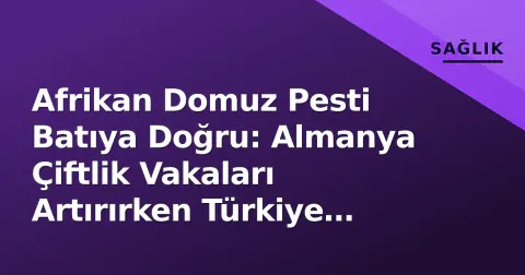 Afrikan Domuz Pesti Batıya Doğru: Almanya Çiftlik Vakaları Artırırken Türkiye Sınırını Kilitledi