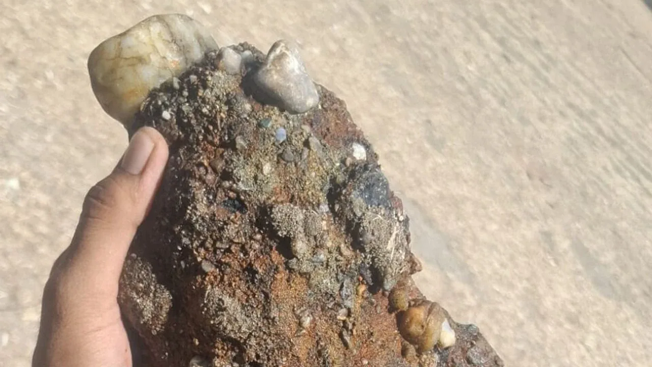 Çanakkale'de Sahilde Patlamamış Askeri Mühimmat Tespit Edildi Çanakkale'de Sahilde Patlamamış Askeri Mühimmat Tespit Edildi