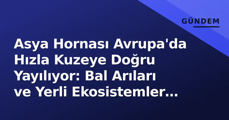 Asya Hornası Avrupa'da Hızla Kuzeye Doğru Yayılıyor: Bal Arıları ve Yerli Ekosistemler Tehlikede görseli