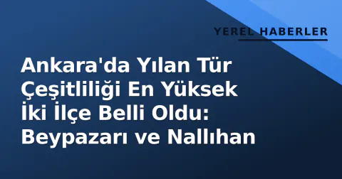Ankara'da Yılan Tür Çeşitliliği En Yüksek İki İlçe Belli Oldu: Beypazarı ve Nallıhan