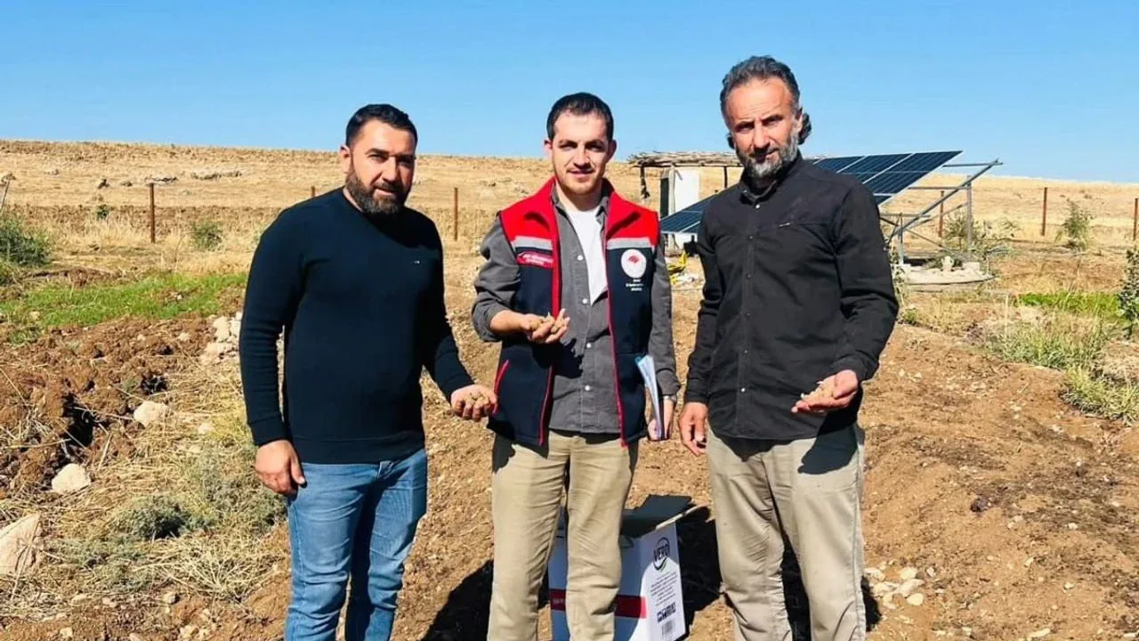 Silopi’de Salep Ekimi Sahada Kontrol Edildi: Ceylan Köyünde Denetim Silopi’de Salep Ekimi Sahada Kontrol Edildi: Ceylan Köyünde Denetim