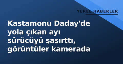 Kastamonu Daday'de yola çıkan ayı sürücüyü şaşırttı, görüntüler kamerada