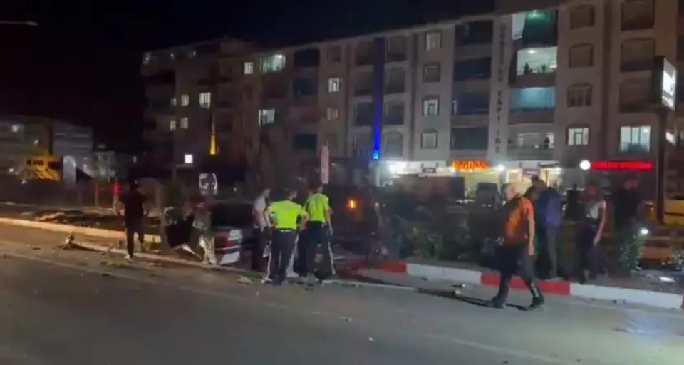 Elazığ'da köpeğe çarpan araç direğe vurdu: 2 yaralı görseli