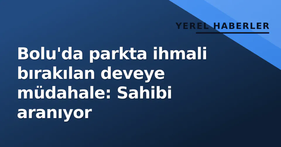 Bolu'da parkta ihmali bırakılan deveye müdahale: Sahibi aranıyor görseli