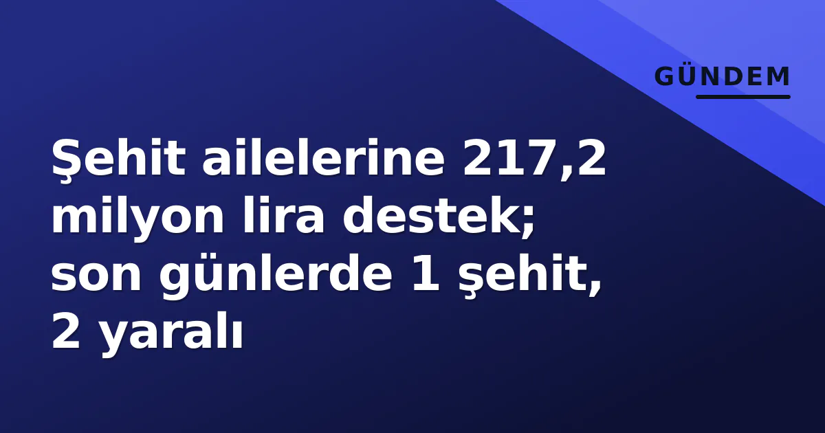 Şehit ailelerine 217,2 milyon lira destek; son günlerde 1 şehit, 2 yaralı