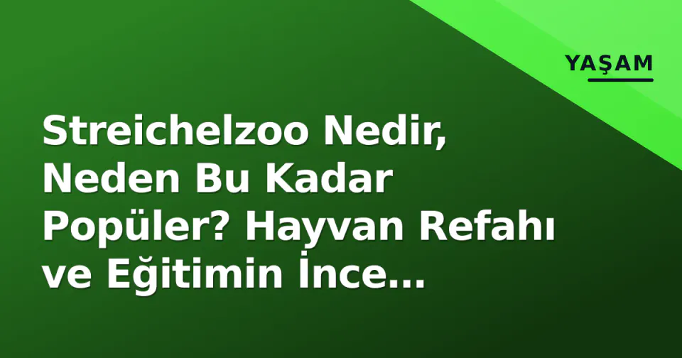 Streichelzoo Nedir, Neden Bu Kadar Popüler? Hayvan Refahı ve Eğitimin İnce Çizgisi görseli