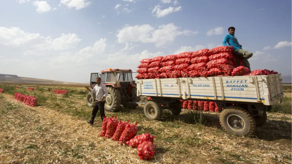 Ticaret Bakanlığı'ndan Soğan İthalatında Vergi İndirimi: Yeni Oran Belli Oldu görseli
