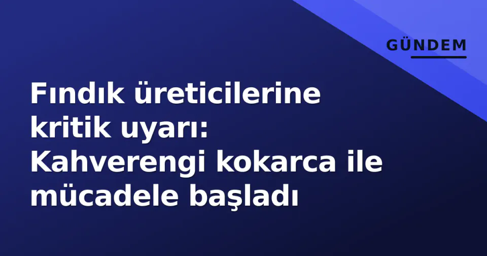 Fındık üreticilerine kritik uyarı: Kahverengi kokarca ile mücadele başladı görseli