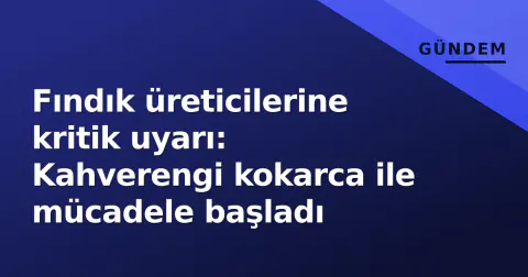 Fındık üreticilerine kritik uyarı: Kahverengi kokarca ile mücadele başladı