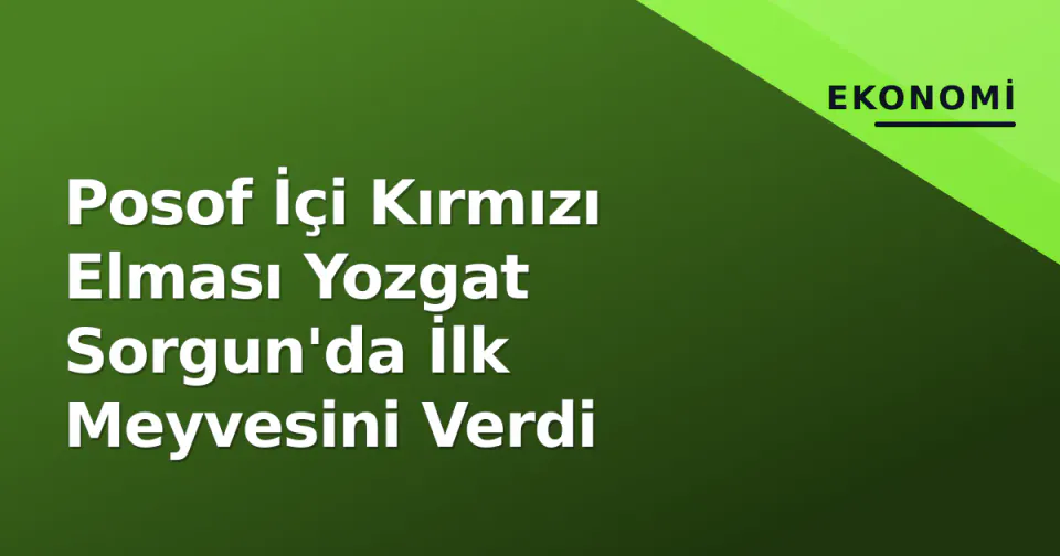 Posof İçi Kırmızı Elması Yozgat Sorgun'da İlk Meyvesini Verdi görseli