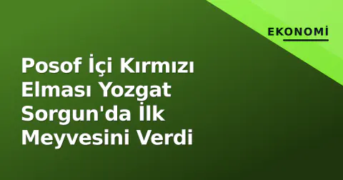 Posof İçi Kırmızı Elması Yozgat Sorgun'da İlk Meyvesini Verdi