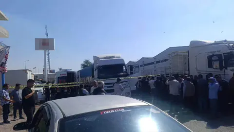 Şanlıurfa Viranşehir'de kamyon şoförü kabininde ölü bulundu