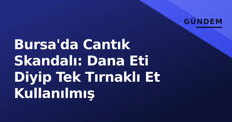 Bursa'da Cantık Skandalı: Dana Eti Diyip Tek Tırnaklı Et Kullanılmış görseli