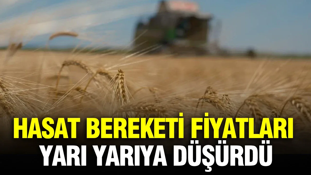 Hayvancılıkta Yem Paradoksu: Kaba Yem Düştü, Fabrika Yemleri Yükseldi Hayvancılıkta Yem Paradoksu: Kaba Yem Düştü, Fabrika Yemleri Yükseldi
