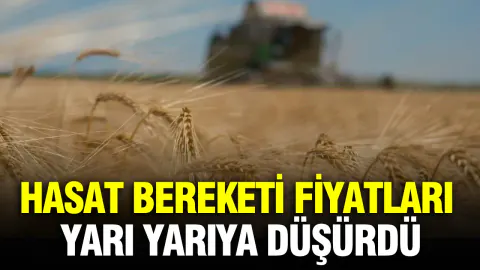 Hayvancılıkta Yem Paradoksu: Kaba Yem Düştü, Fabrika Yemleri Yükseldi