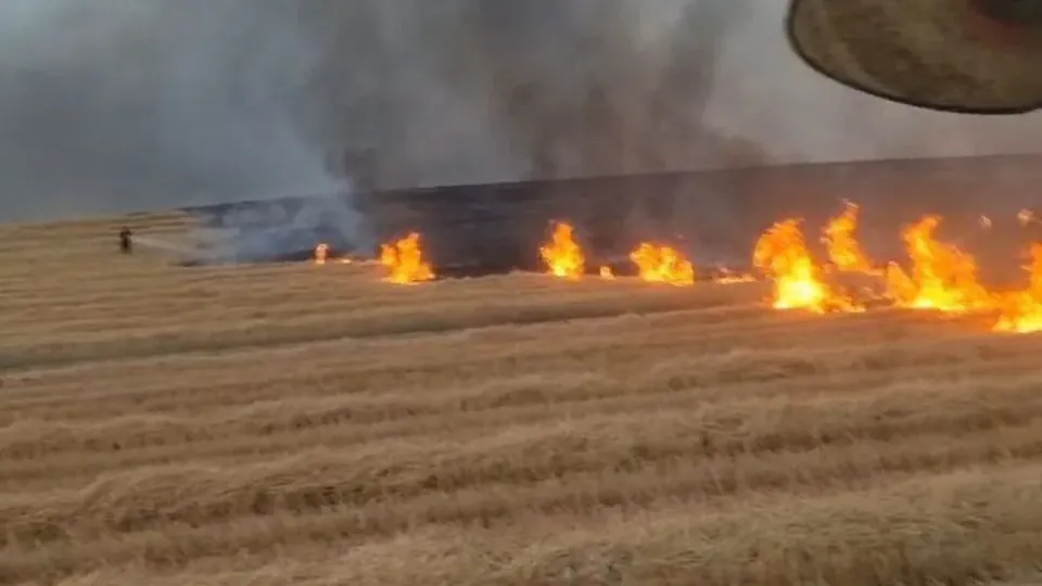 Şırnak'ta 5 Bin Dönümlük Arazi Alevlere Teslim Oldu görseli