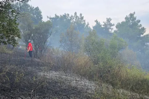 Bursa Mudanya'da Zeytinlikte Çıkan Yangın Kontrol Altına Alındı
