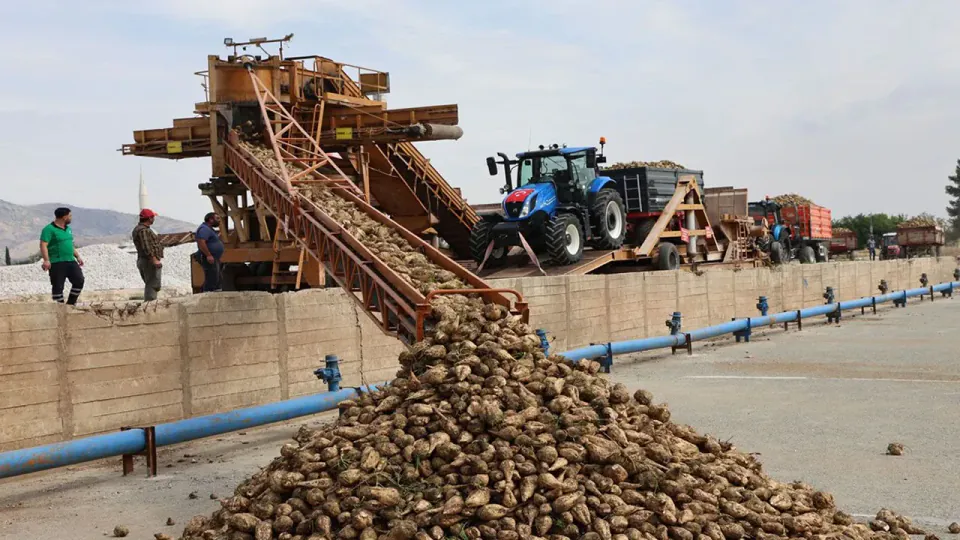 Elazığ Şeker Fabrikası 71. kampanyayı başlattı: 240 bin ton pancar hedefi görseli
