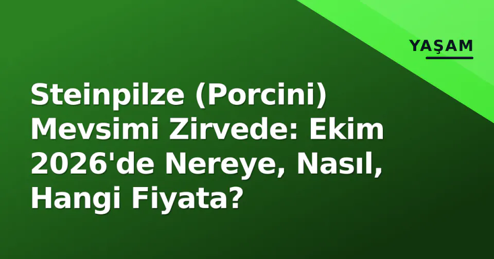 Steinpilze (Porcini) Mevsimi Zirvede: Ekim 2026'de Nereye, Nasıl, Hangi Fiyata? görseli