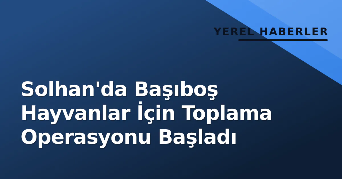 Solhan'da Başıboş Hayvanlar İçin Toplama Operasyonu Başladı Solhan'da Başıboş Hayvanlar İçin Toplama Operasyonu Başladı
