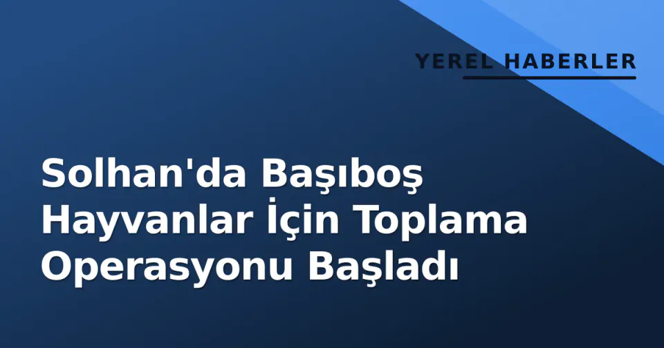 Solhan'da Başıboş Hayvanlar İçin Toplama Operasyonu Başladı görseli