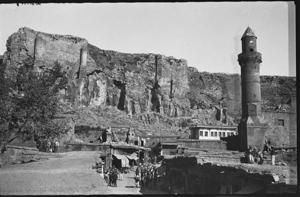 Bitlis'te Süt Mısır Tezgahlarda: Erken Hasat Dönemi Başladı görseli