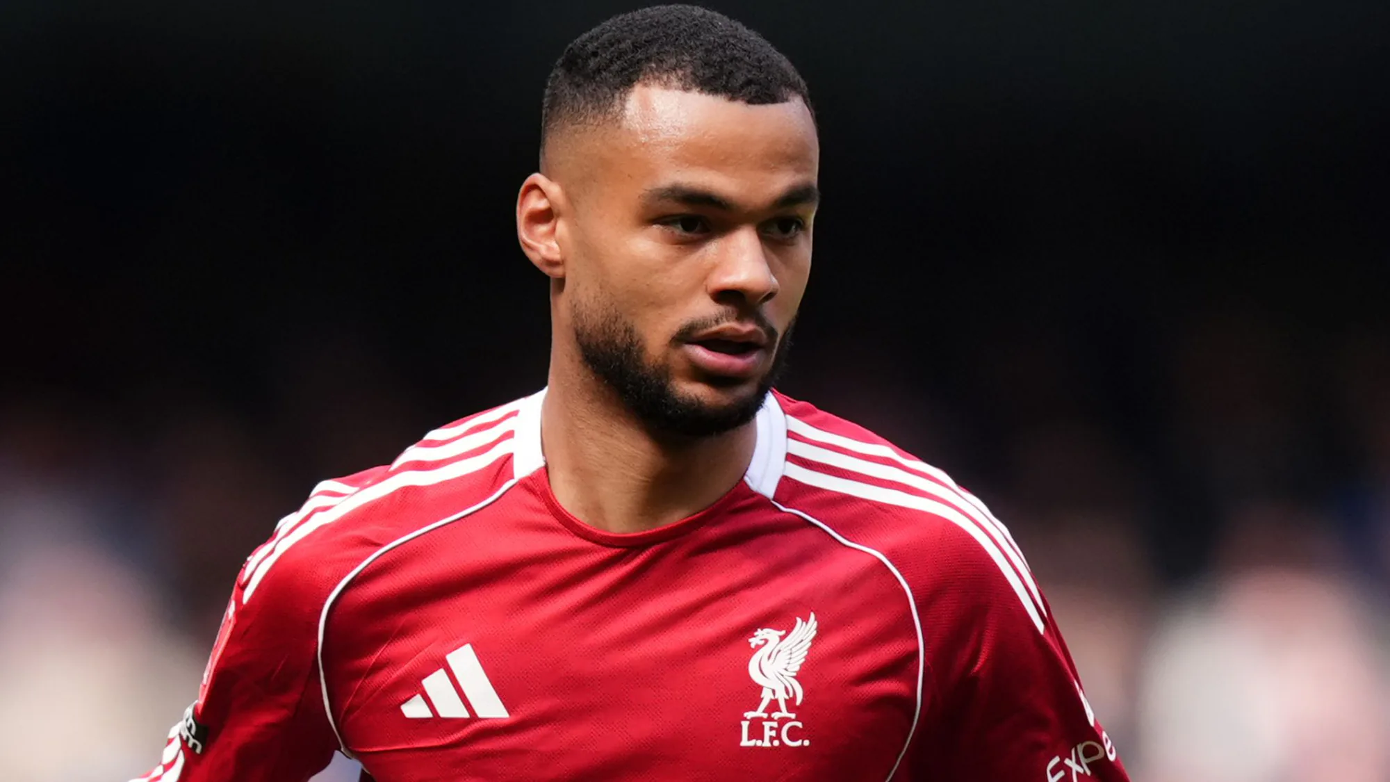 Liverpool'da Gakpo Transferi ve Salah Sonrası Planlaması Liverpool'da Gakpo Transferi ve Salah Sonrası Planlaması