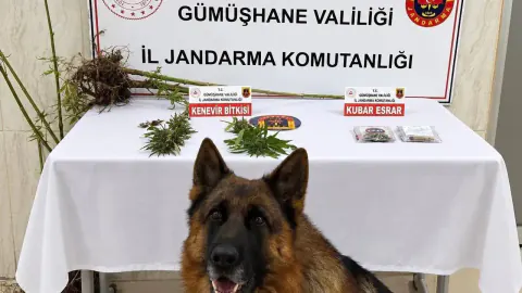 Gümüşhane'de uyuşturucu operasyonu: Kürtün'de kenevir ve kubar esrar ele geçirildi