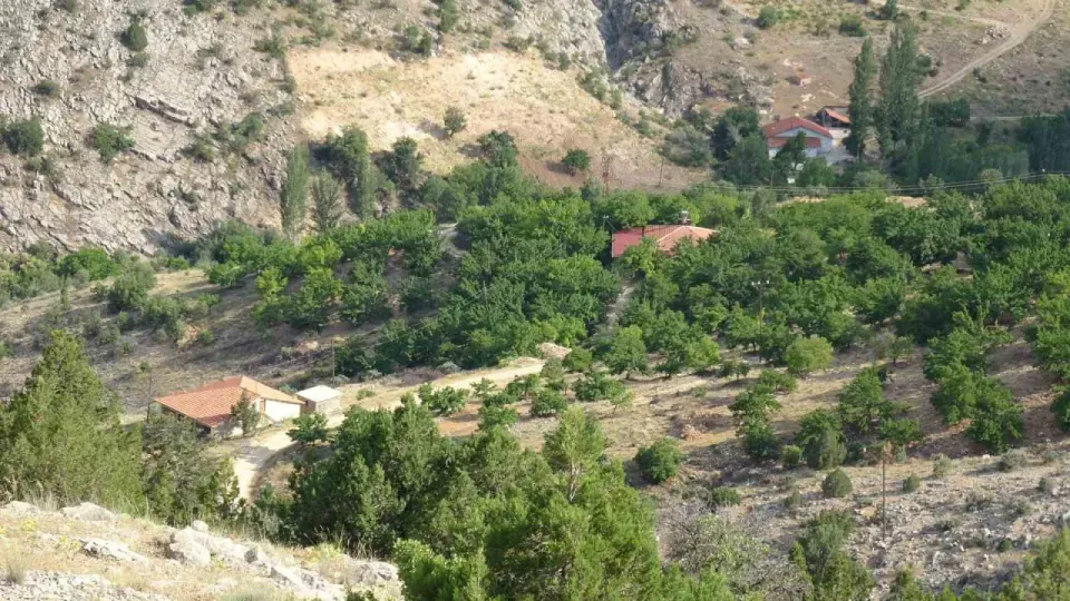 Malatya'da Aysel Yıldırım için 1600 rakımlı dağda kritik arama görseli