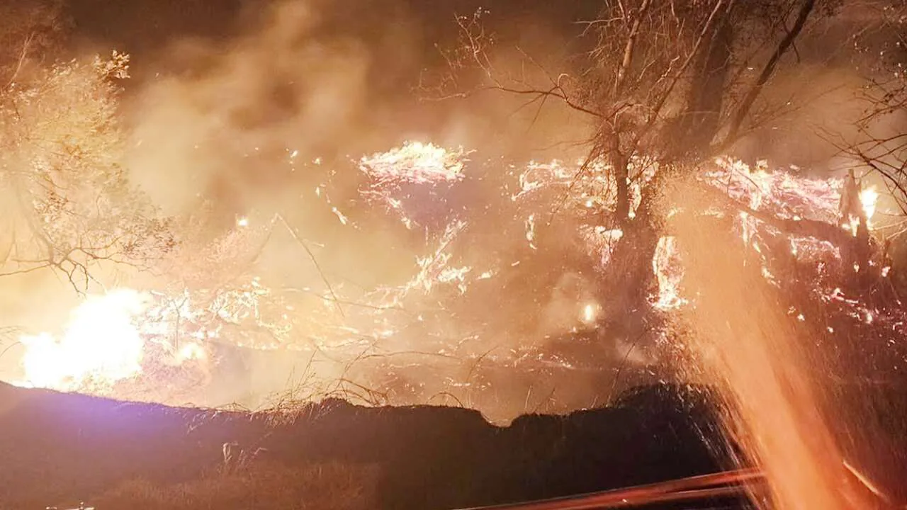 Yozgat Boğazlıyan'da Orman Yangını Alevler Kontrol Altına Alındı Yozgat Boğazlıyan'da Orman Yangını Alevler Kontrol Altına Alındı