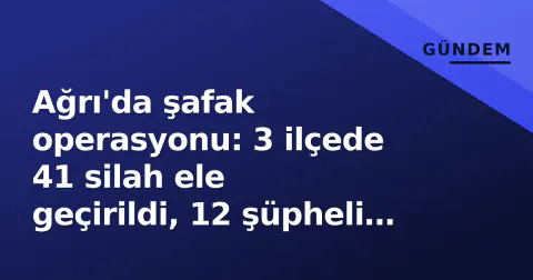 Ağrı'da şafak operasyonu: 3 ilçede 41 silah ele geçirildi, 12 şüpheli gözaltında