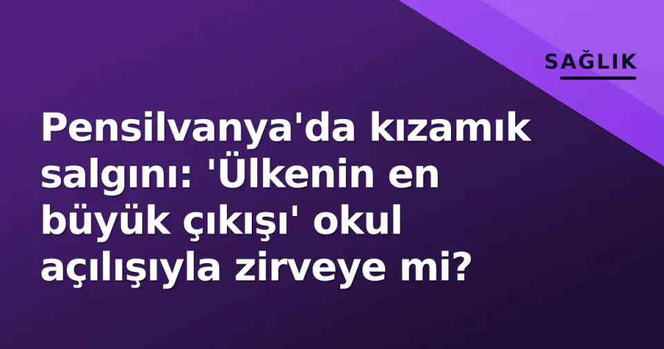 Pensilvanya'da kızamık salgını: 'Ülkenin en büyük çıkışı' okul açılışıyla zirveye mi? görseli