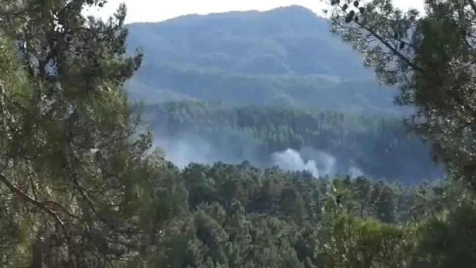 Burdur Gölhisar'da orman yangını kontrol altına alındı, soğutma çalışmaları sürüyor görseli