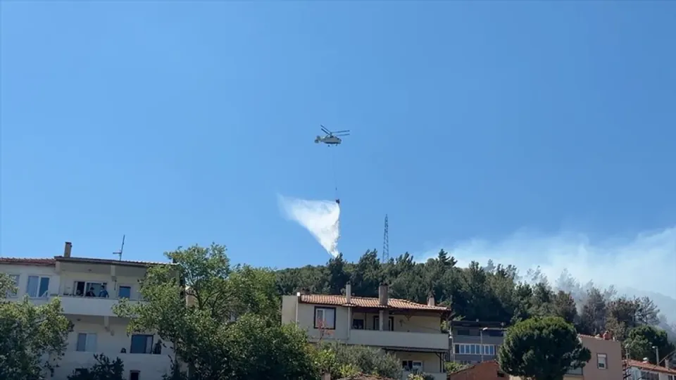 Balıkesir Burhaniye'de Korkutan Orman Yangını: Ekipler Seferber Oldu