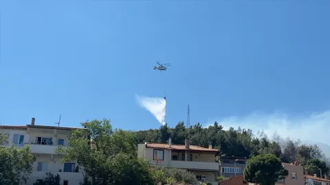 Balıkesir Burhaniye'de Korkutan Orman Yangını: Ekipler Seferber Oldu