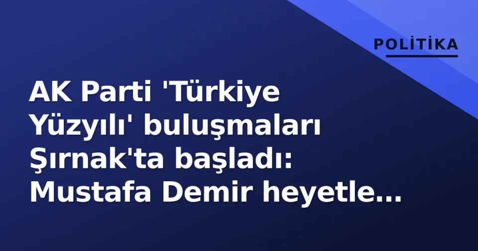 AK Parti 'Türkiye Yüzyılı' buluşmaları Şırnak'ta başladı: Mustafa Demir heyetle validevlere gitti görseli