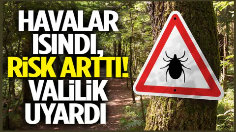 Valilikten Kritik Kene Uyarısı: Riskli Bölgelere Gidecekler Dikkat