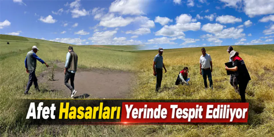 Kars'ta Tarımsal Hasar Tespit Çalışmaları: Etkilenen Köyler İnceleniyor görseli
