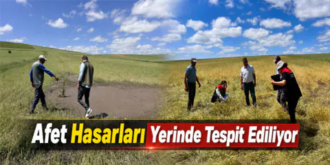 Kars'ta Tarımsal Hasar Tespit Çalışmaları: Etkilenen Köyler İnceleniyor