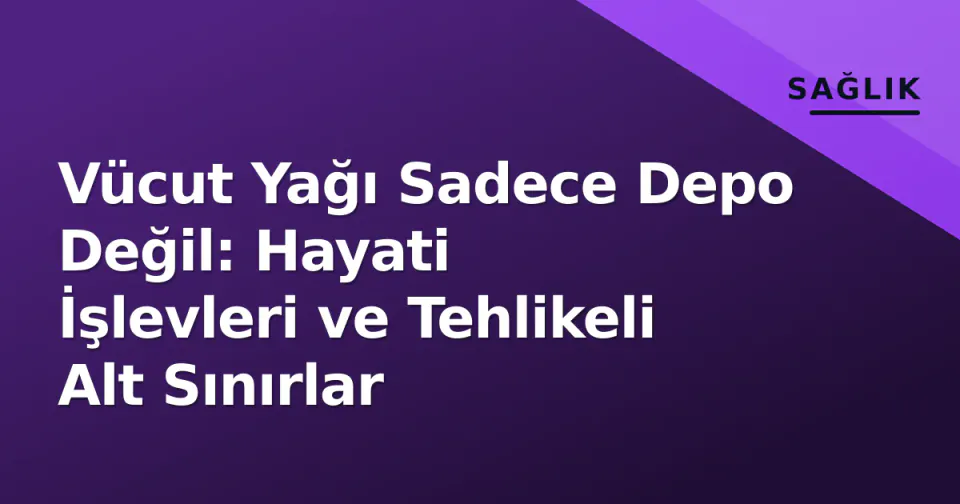 Vücut Yağı Sadece Depo Değil: Hayati İşlevleri ve Tehlikeli Alt Sınırlar görseli