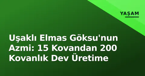 Uşaklı Elmas Göksu'nun Azmi: 15 Kovandan 200 Kovanlık Dev Üretime