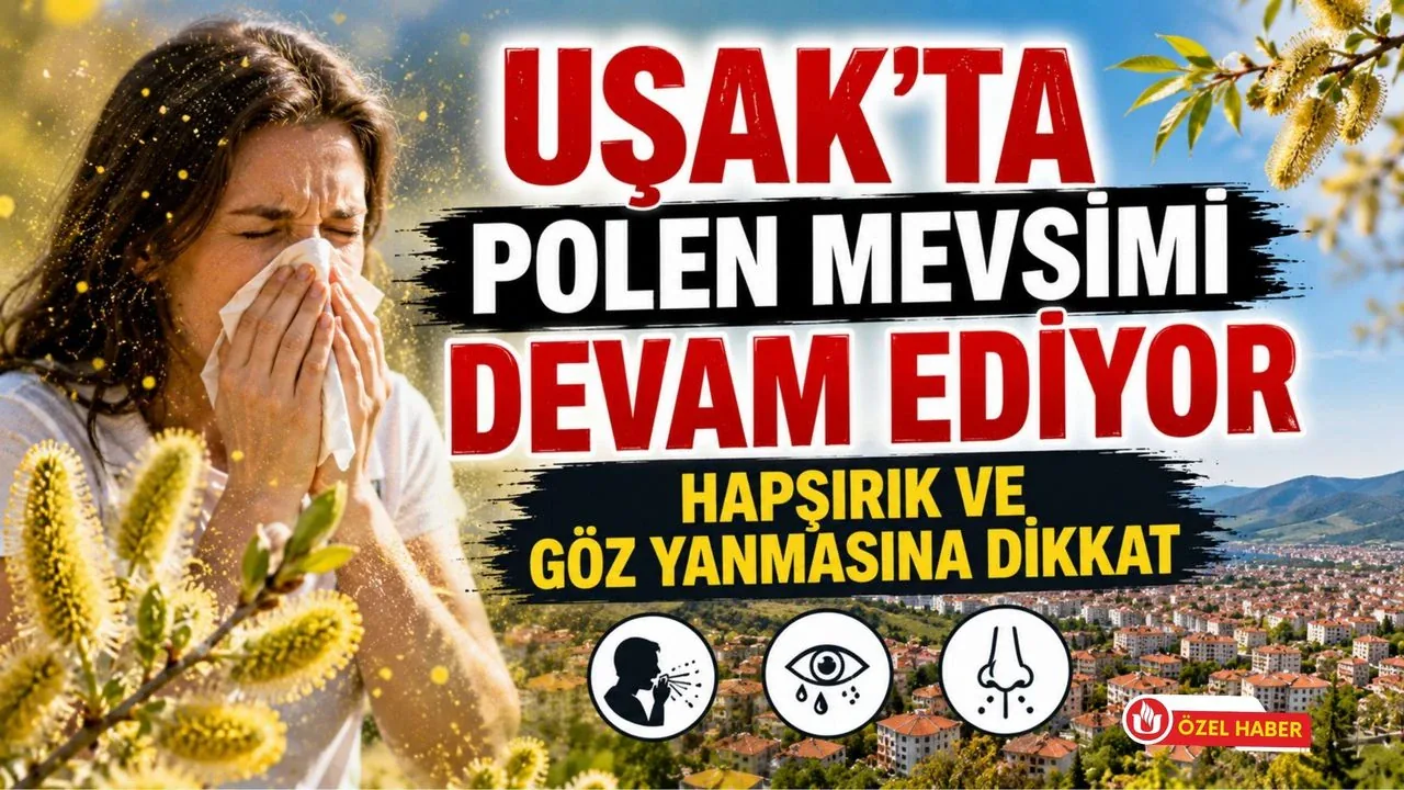 Uşak'ta Polen Alerjisi Riski Artıyor: Kimler Dikkat Etmeli? Uşak'ta Polen Alerjisi Riski Artıyor: Kimler Dikkat Etmeli?