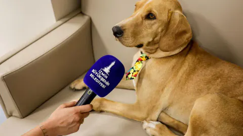 İzmir'de Terk Edilen Köpek Bal, Engelli Merkezinde 'Memur' Oldu