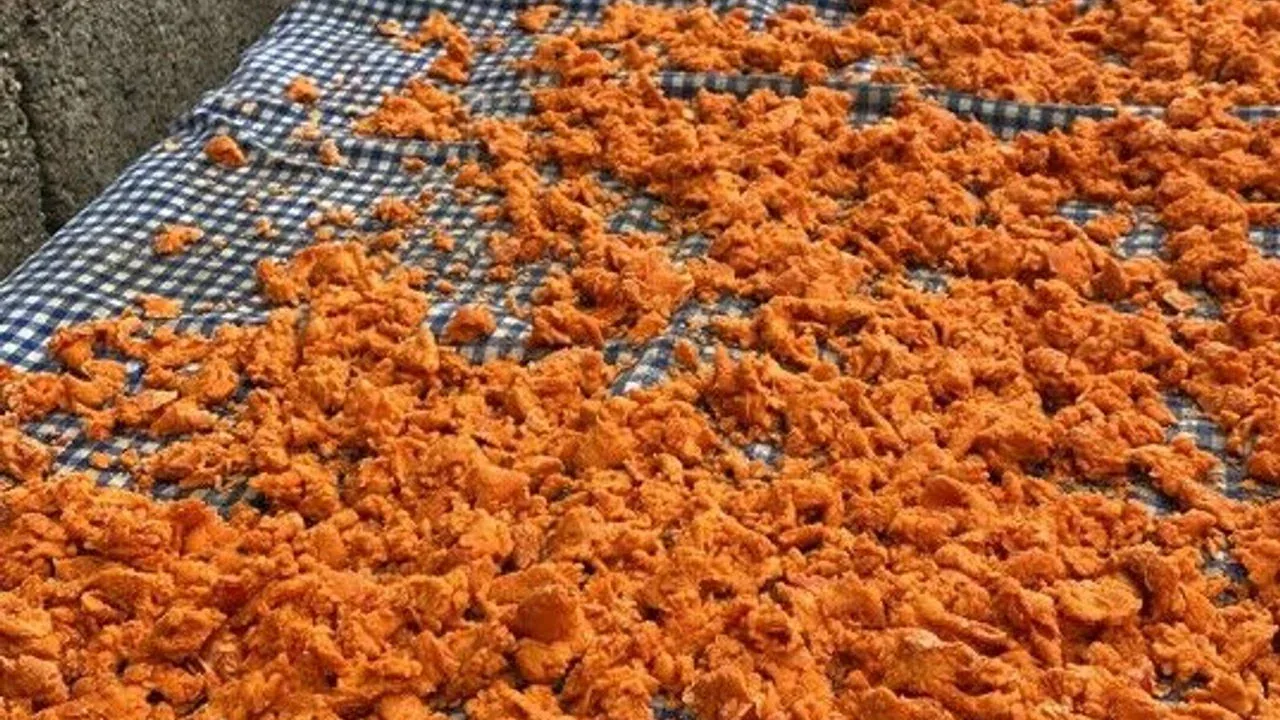 Kırklareli'de Geleneksel Tarhana Hareketi: Kış Hazırlıkları Zirvede
