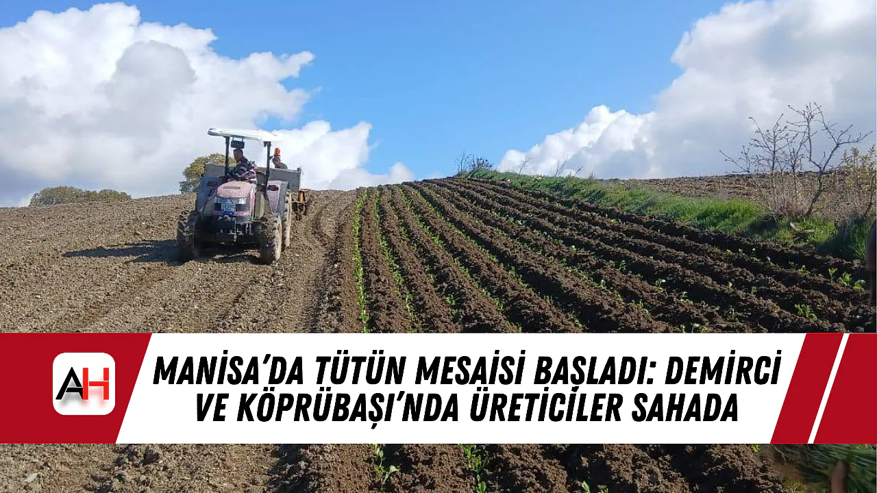 Uşak'ta Tütün Tarlalarında Çapalama Mesaisi Başladı Uşak'ta Tütün Tarlalarında Çapalama Mesaisi Başladı