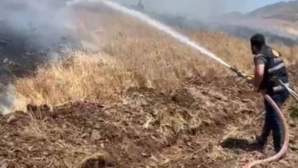 Elazığ Karakoçan'da Tarım Arazileri Yandı: 35 Dönüm Alan Küle Döndü görseli