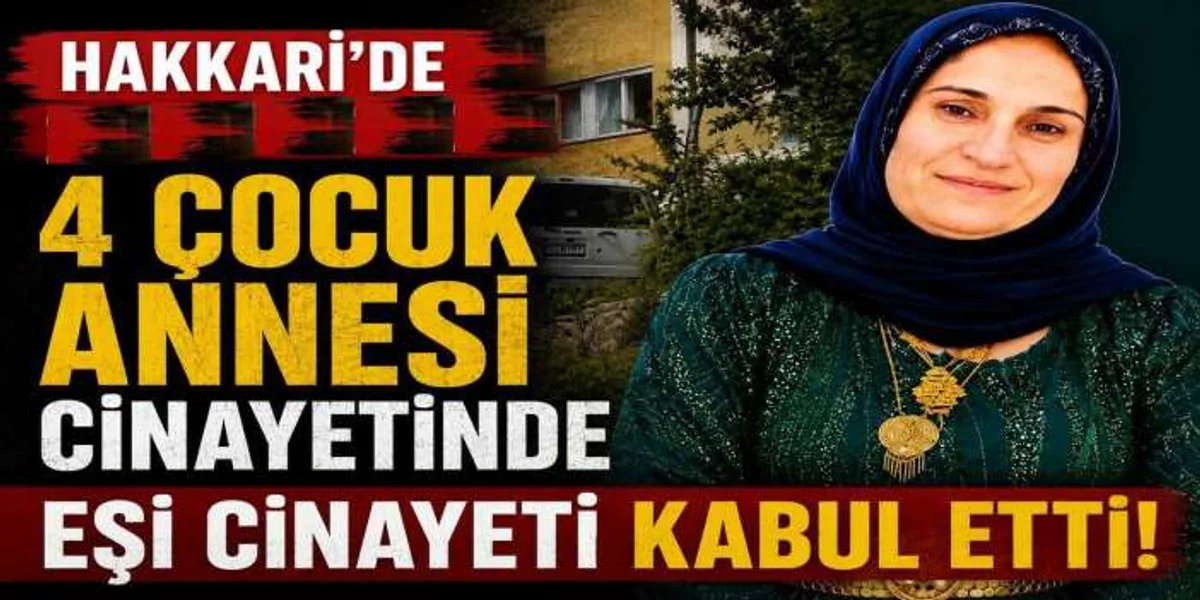 Hakkari'deki cinayet soruşturmasında şüpheliden itiraf Hakkari'deki cinayet soruşturmasında şüpheliden itiraf