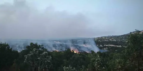 Diyarbakır'da Silvan-Lice arası orman yangını kontrol altına alındı